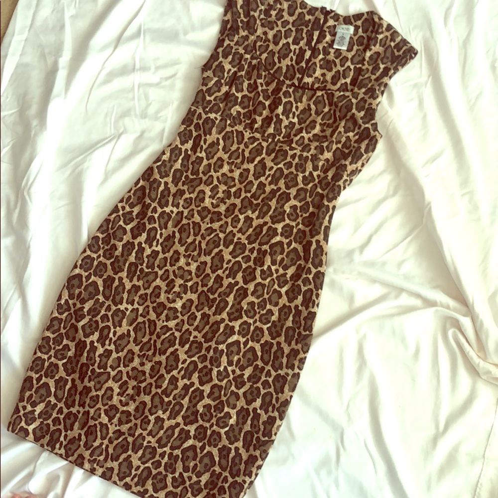Stunning Cache Leopard cotton dress size M